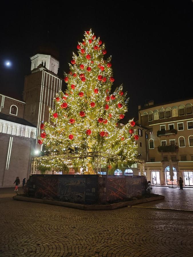Il Riccio Del Castagno Lejlighed Novaledo Eksteriør billede