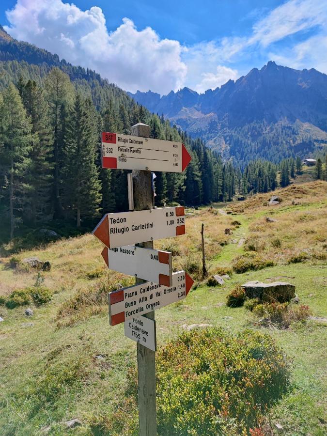 Il Riccio Del Castagno Lejlighed Novaledo Eksteriør billede
