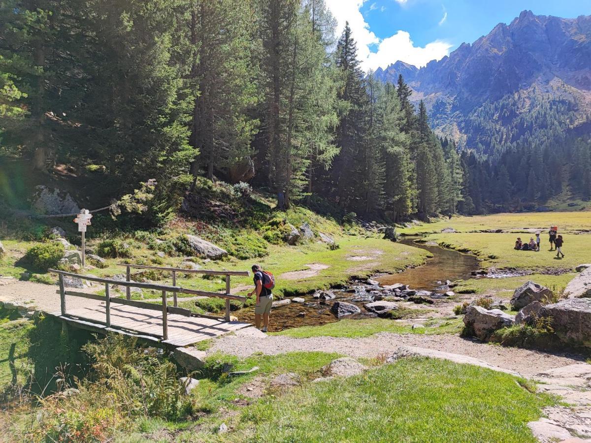 Il Riccio Del Castagno Lejlighed Novaledo Eksteriør billede